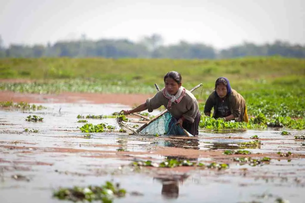 Women fishing in Tinsukia District, Assam, India. Wetlands support the livelihoods of many rural households in the Hindu Kush Himalayas | Courtesy: Flickr