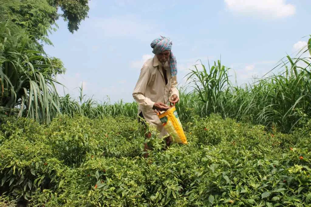 farmer working on it’s farm