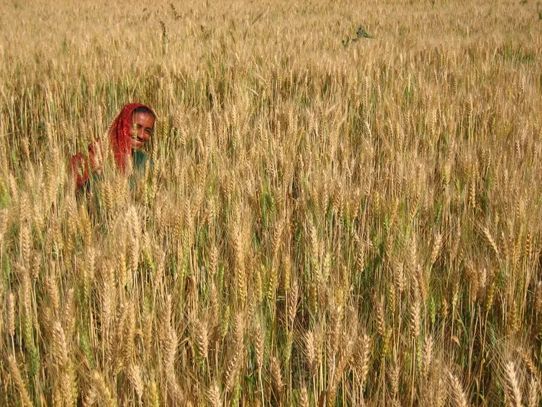 An Ahir tribal woman in Nadapa village, east of Bhuj