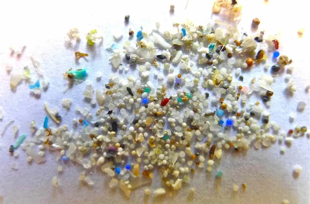 Microplastic poses a growing concern in oceans and other aquatic habitat |