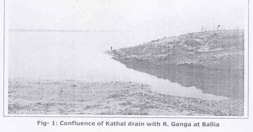 confluence of Katahal Drain