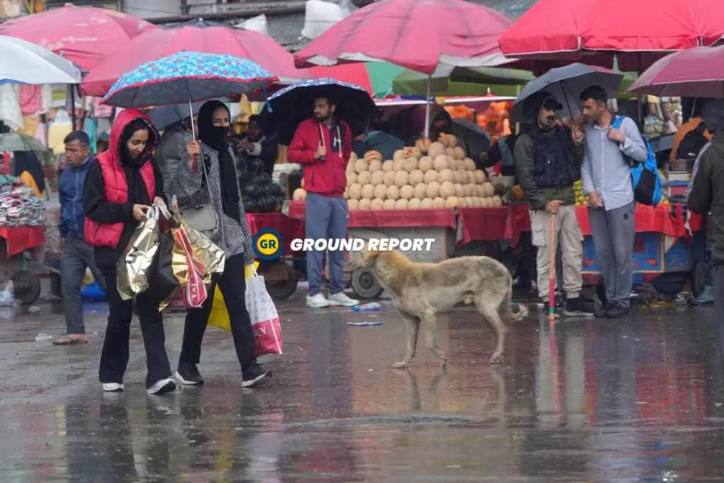 srinagar rains