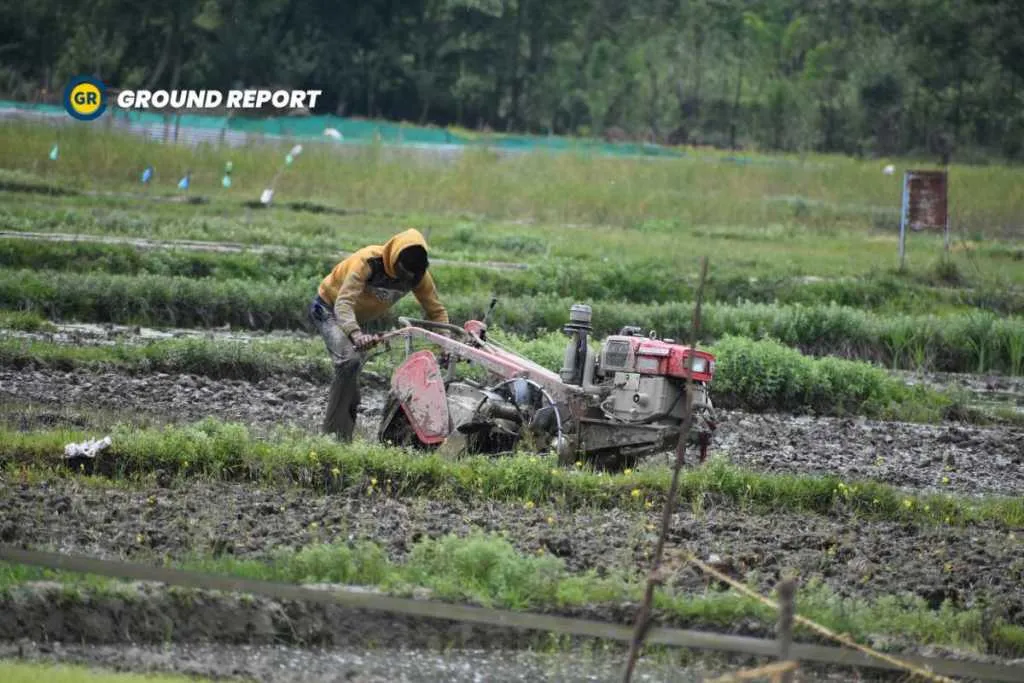 Man Ploughing his field, Picture by Jahangir Sofi