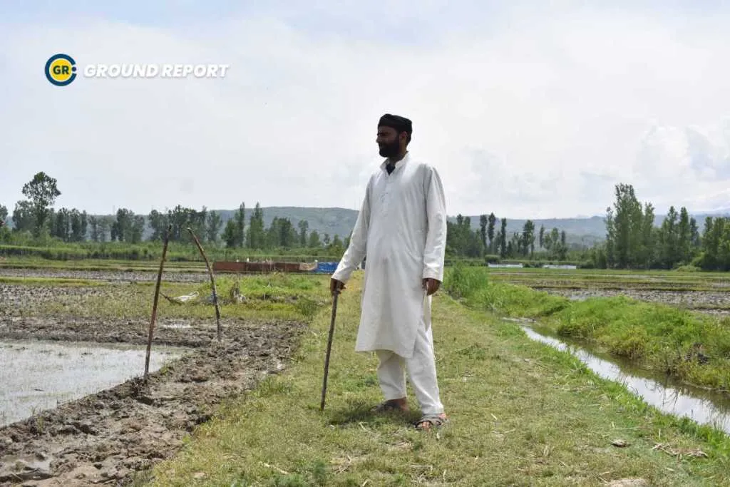 Farmer guarding his field, Picture by Jahangir Sofi