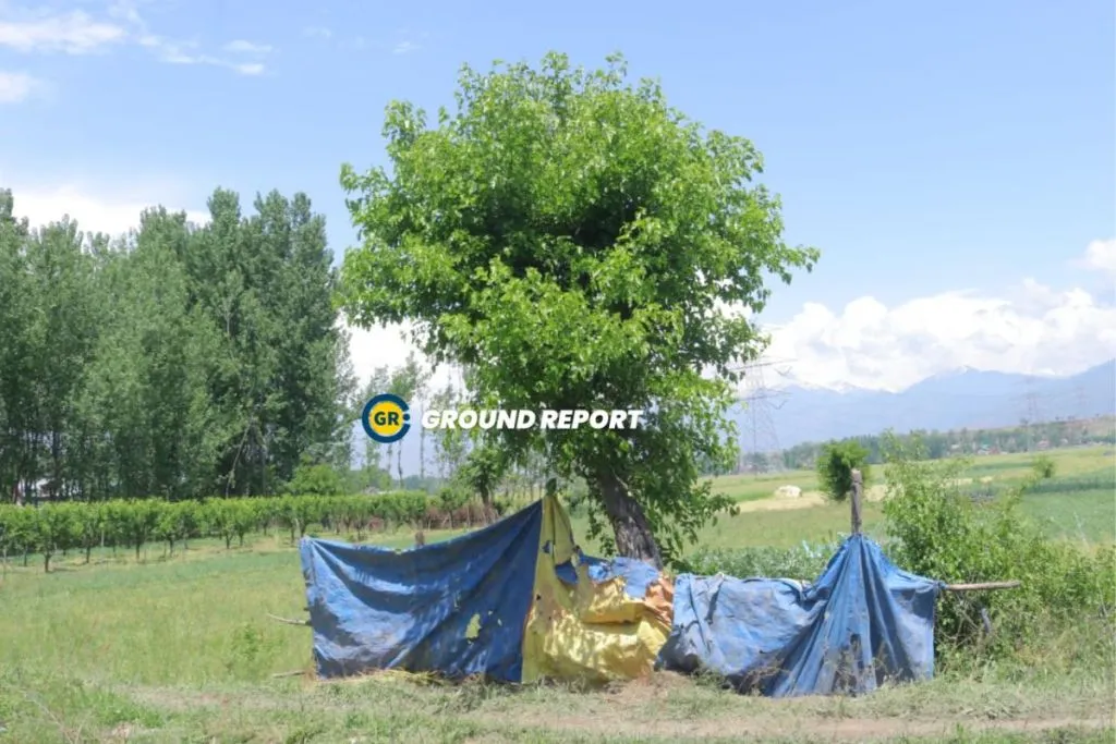 J&K's untold story: Lives lost and homes destroyed by fury of extreme weather events