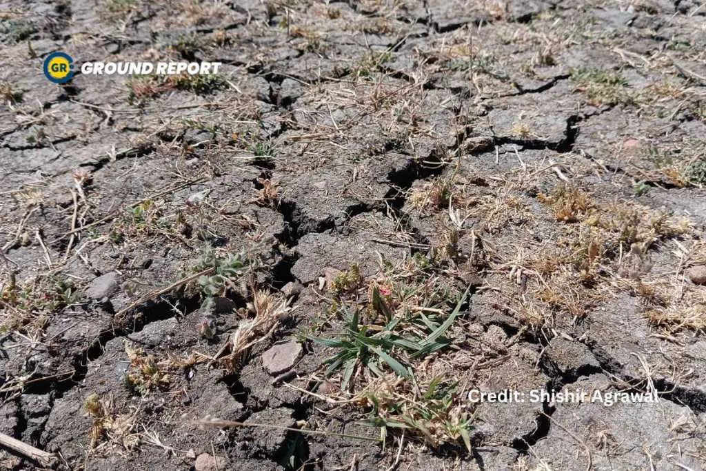 Parched Land Jhabua