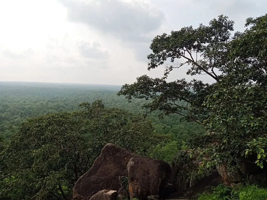 Jabara Forest, Dhamtari District