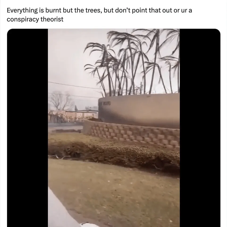 publive-image