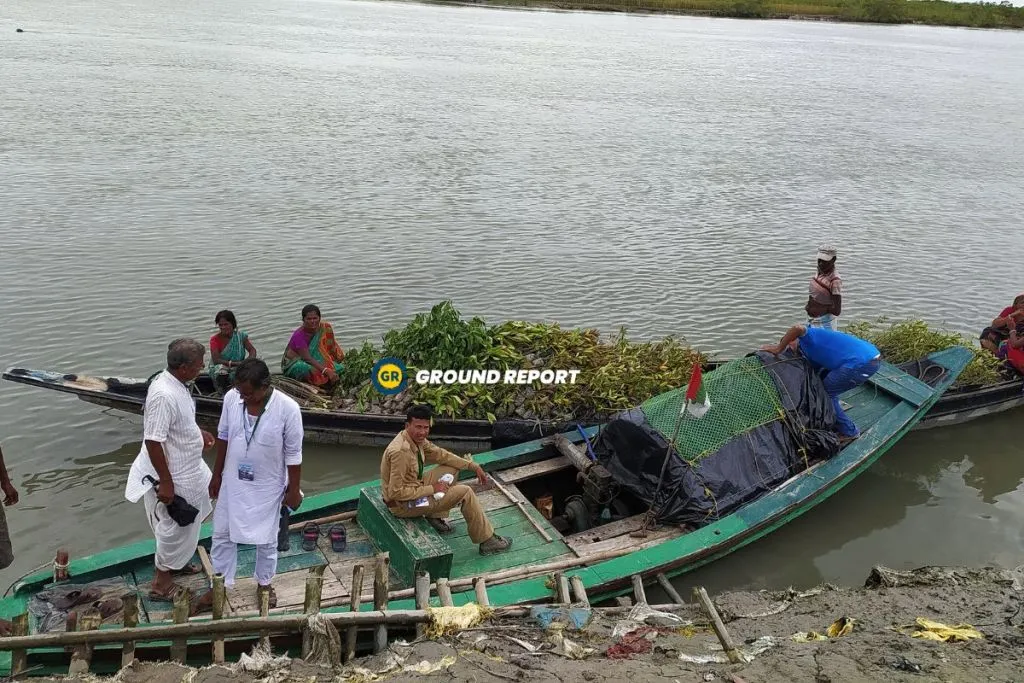 Sundarban Revival, People are planting mangrove saplings in the mudflats along the river banks. Photo Credit: Umashankar Mandal/Ground Report 