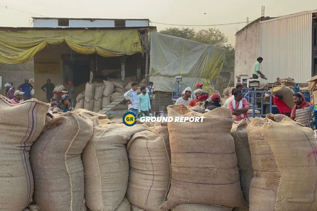 Soybean being weighed in Sehore Produce Market