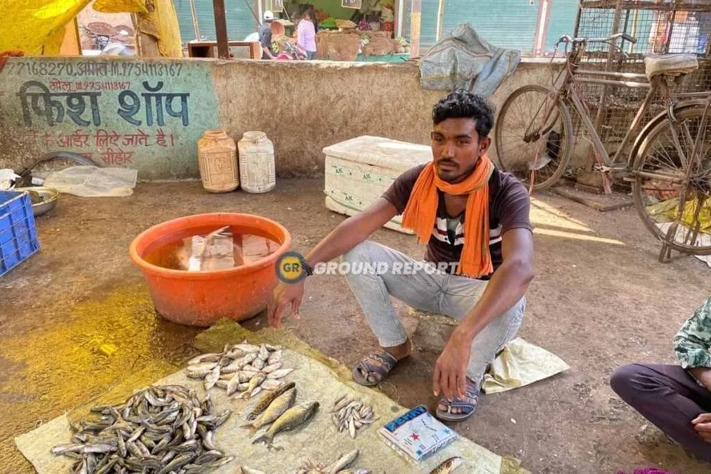 Sehore Machli Bazar, Fish Market 