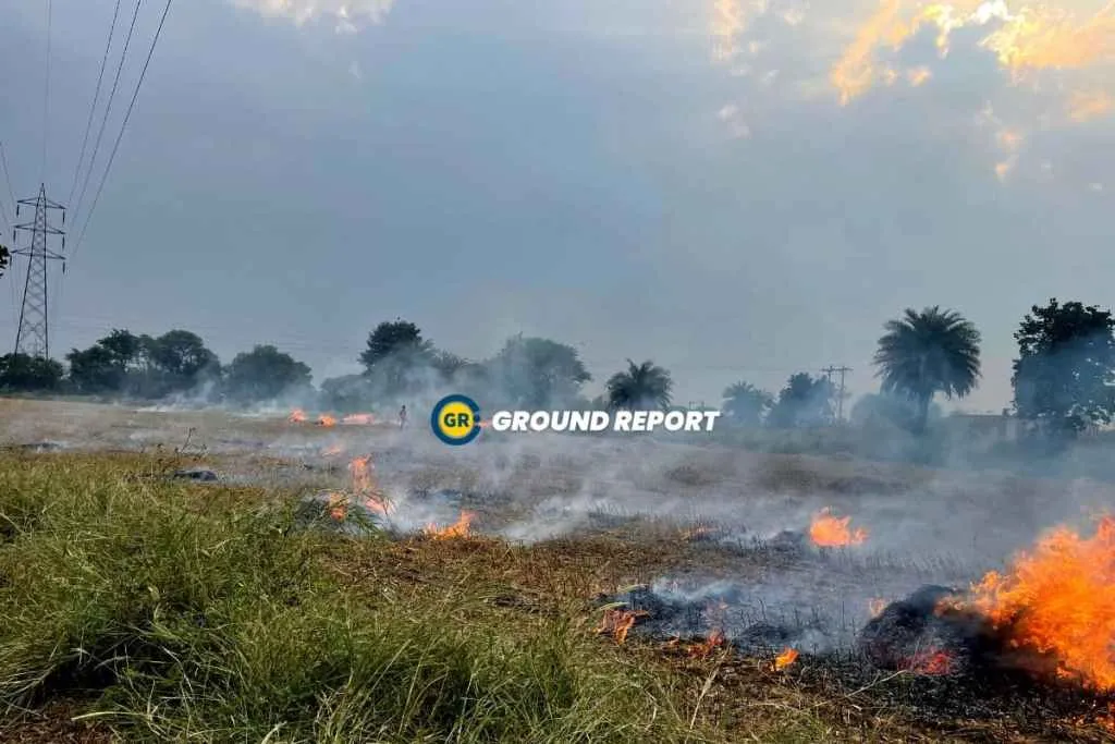 Stubble Burning in Madhya Pradesh 2023
