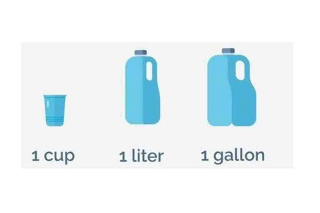 convert gallons into litres