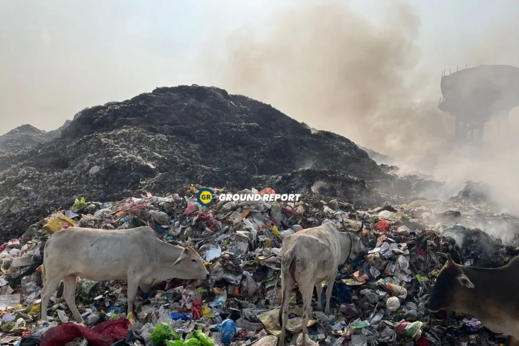 hoshangabad gwaltoli garbage dump