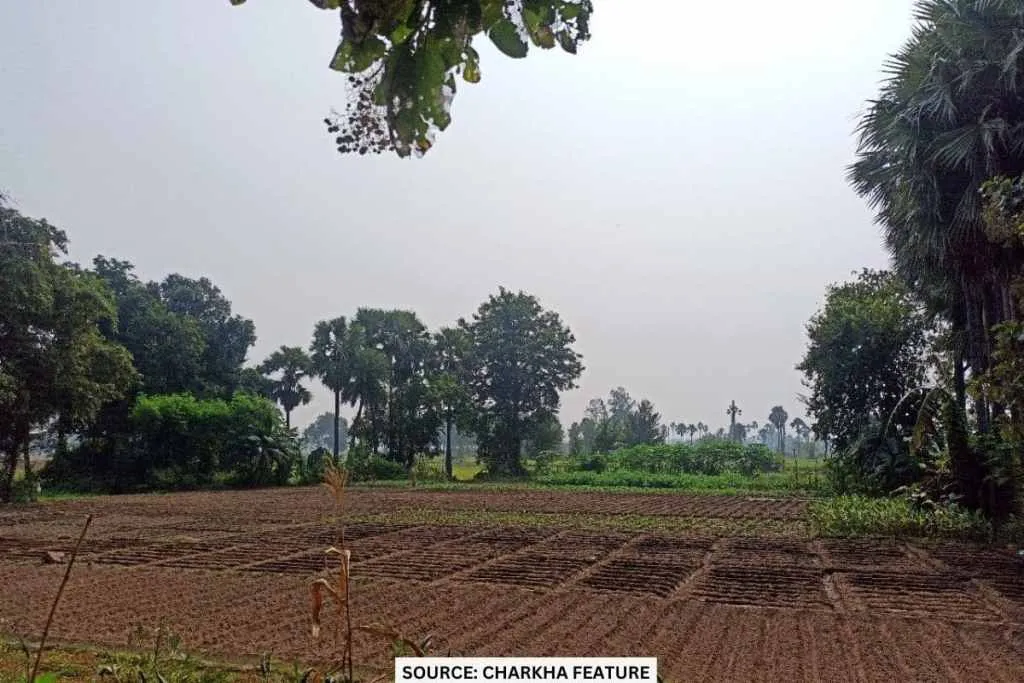 Irrigation issue in bihar