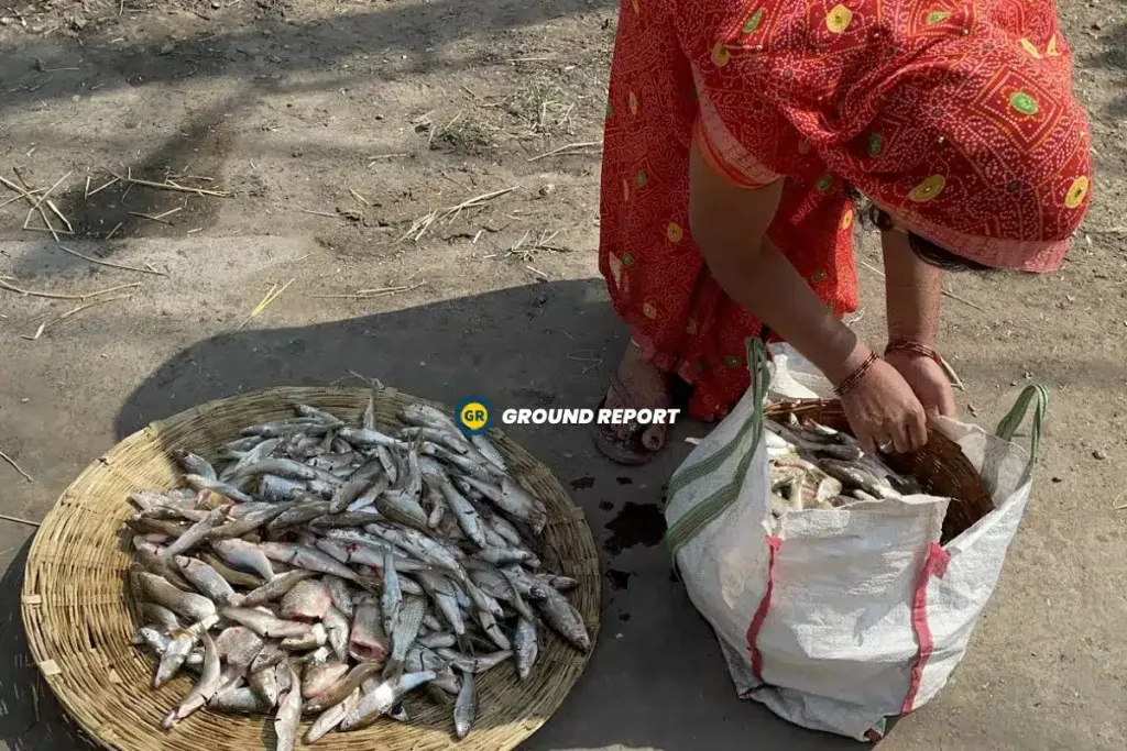 woman in india selling fish