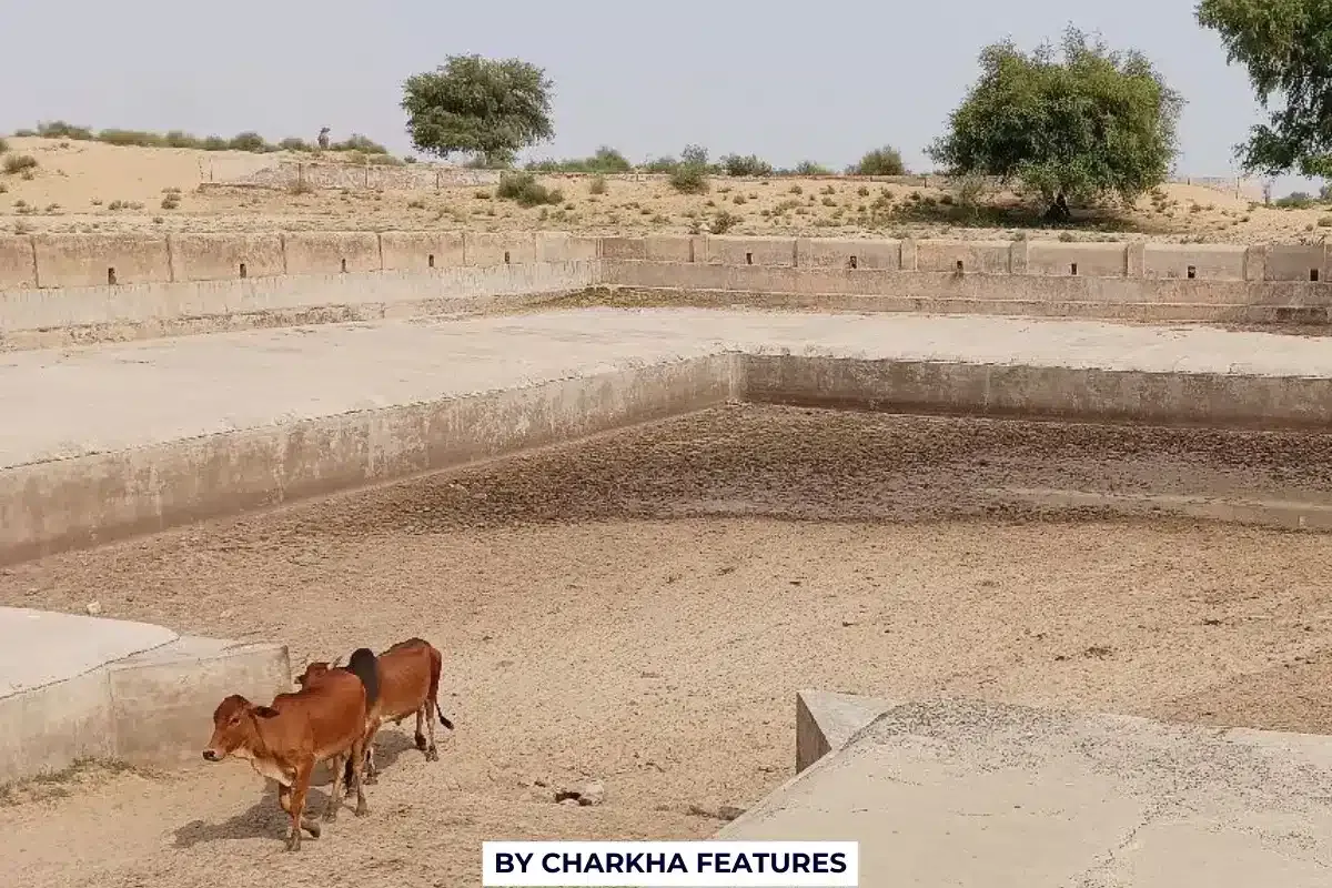 rajasthan water crisis