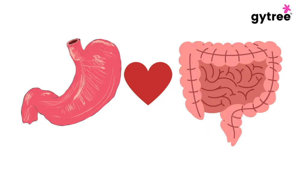 Why does your gut health matters?