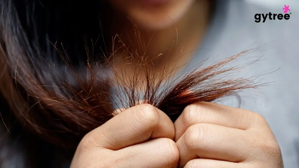 Why do I have split end?