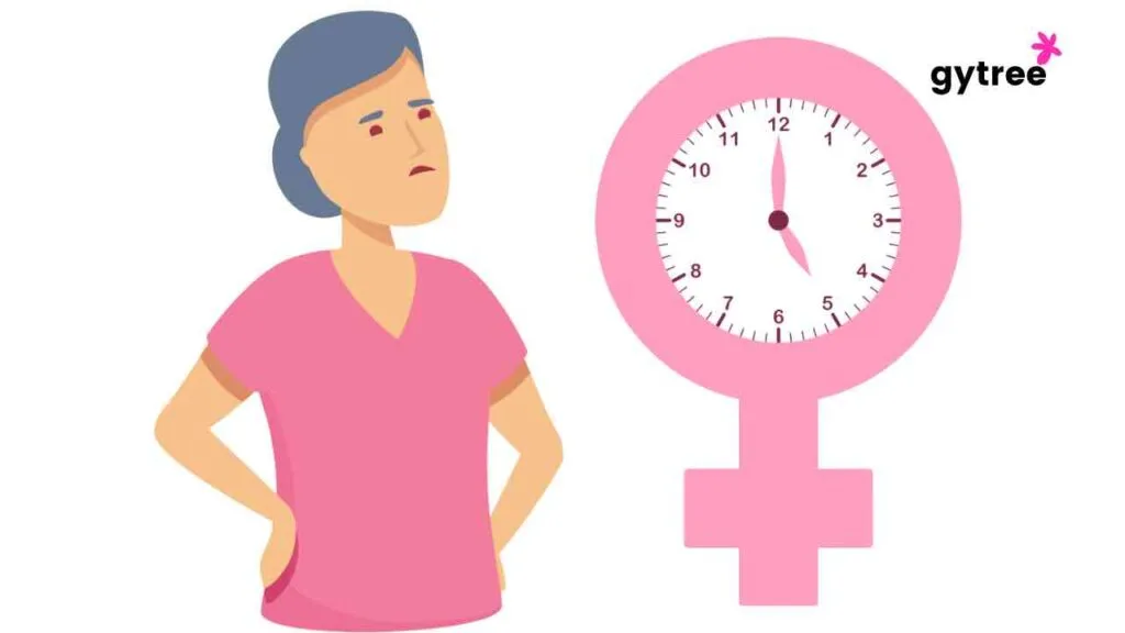 Menopause phases 