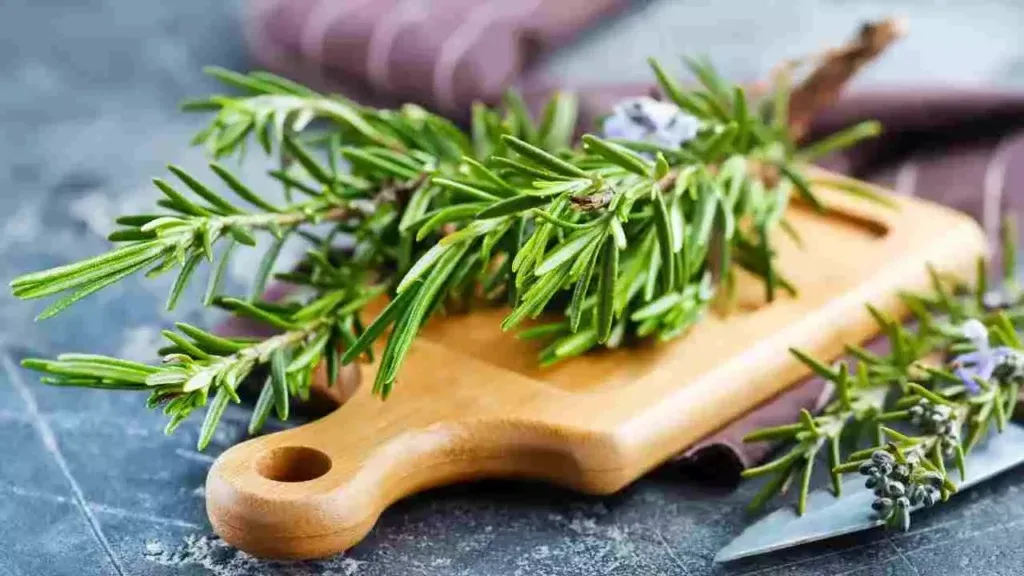 5 Amazing Uses of Rosemary