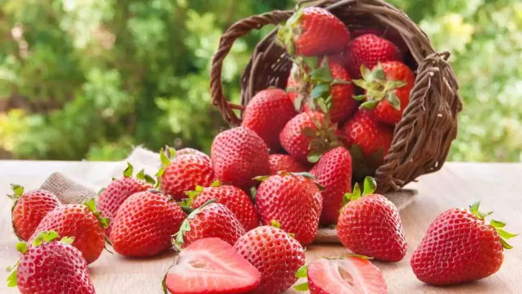 Eat your Seasonal fruits: 11 benefits