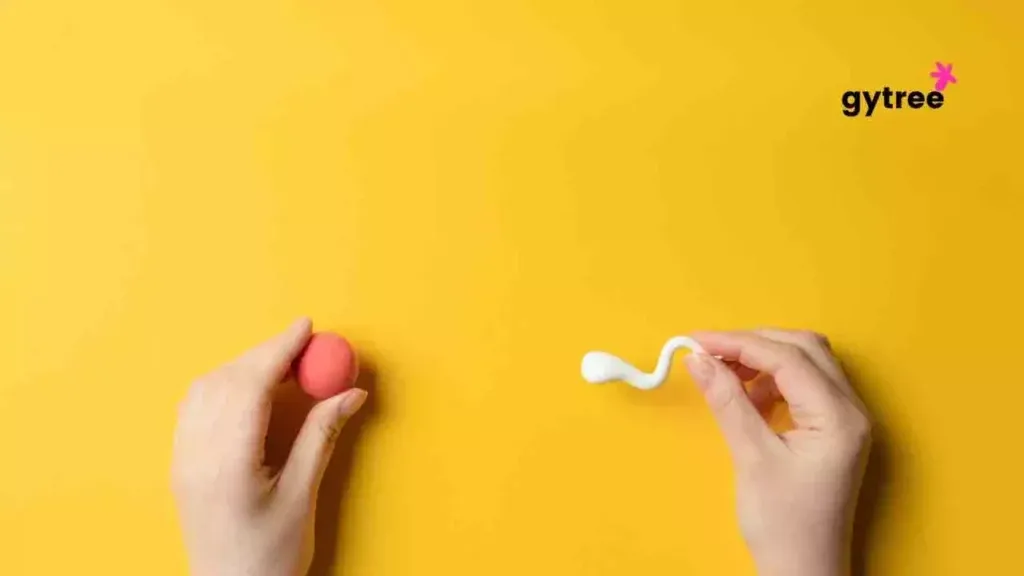 Test Tube Baby: Facts & Myths You Must know