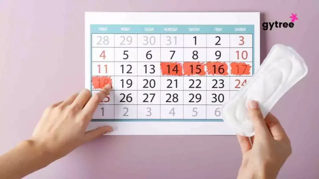 Period Calendar: A Woman’s Bestfriend 