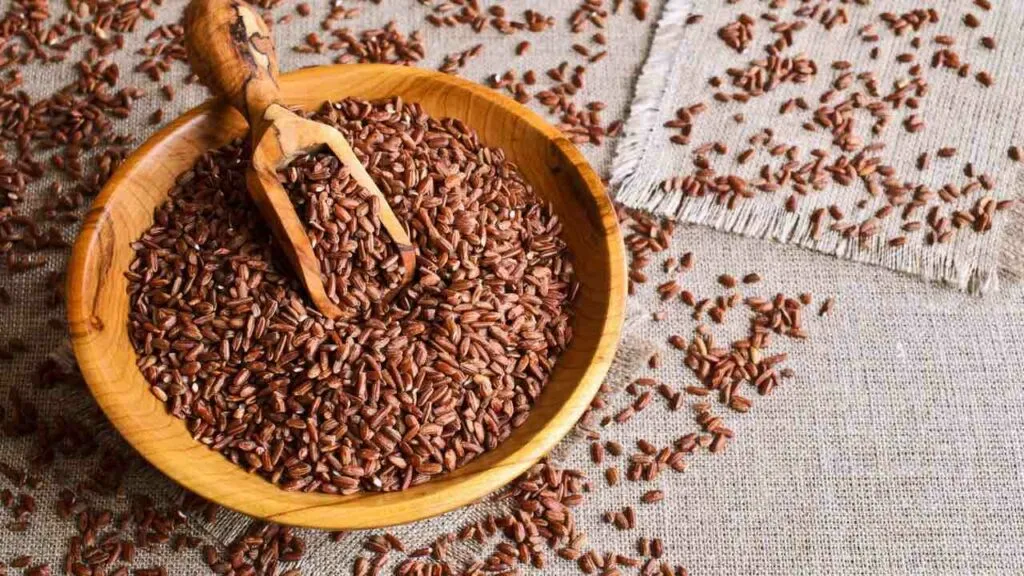 The Top 10 Benefits of Brown Rice Protein