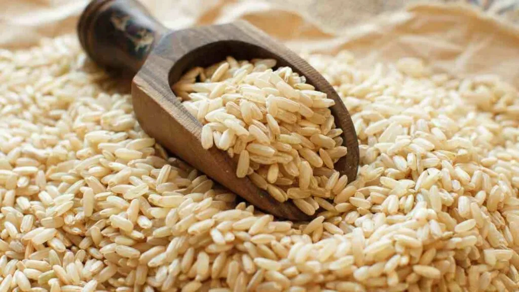 The Top 10 Benefits of Brown Rice Protein