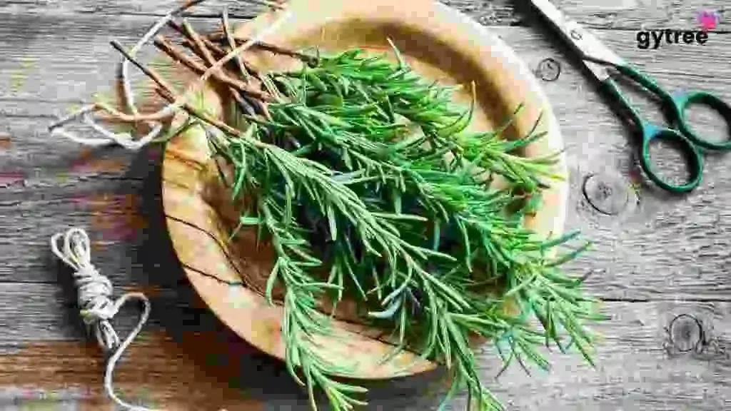 From Garden to Gorgeous: Discover the Magic of 8 Rosemary Hair Treatments