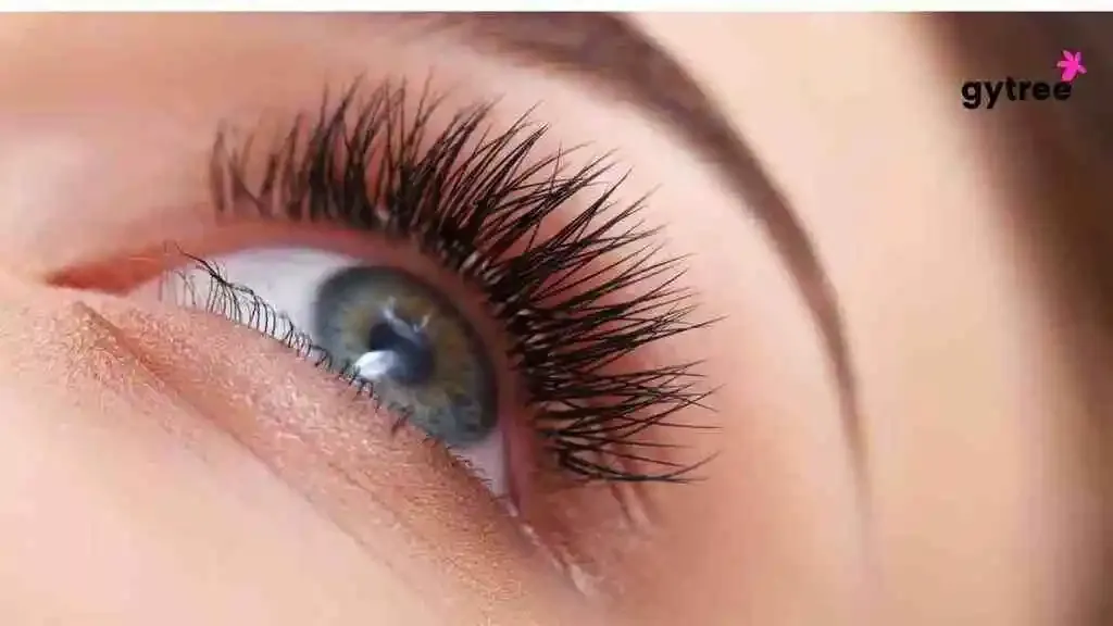 Fluttering Beauty: Get Thicker and Fuller Eyelashes!