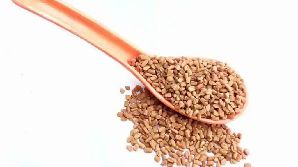 10 Amazing Benefits of Fenugreek Seeds for PCOS: A Fun Path to Hormonal Harmony