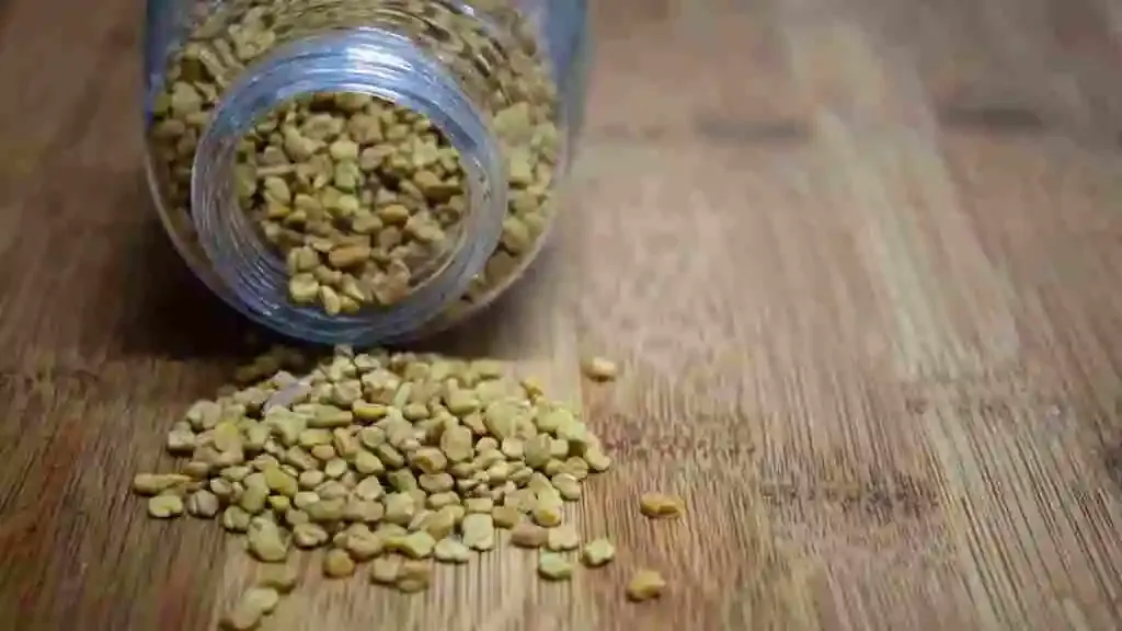 10 Amazing Benefits of Fenugreek Seeds for PCOS: A Fun Path to Hormonal Harmony