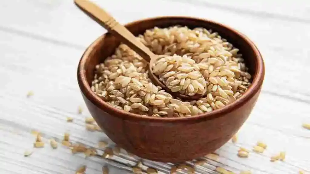 Building Blocks of Health: The Top 10 Benefits of Brown Rice Protein