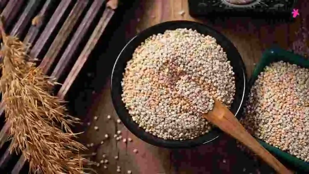 Ditching Meat? 8 Best Plant-Based Proteins in India for a Balanced Diet