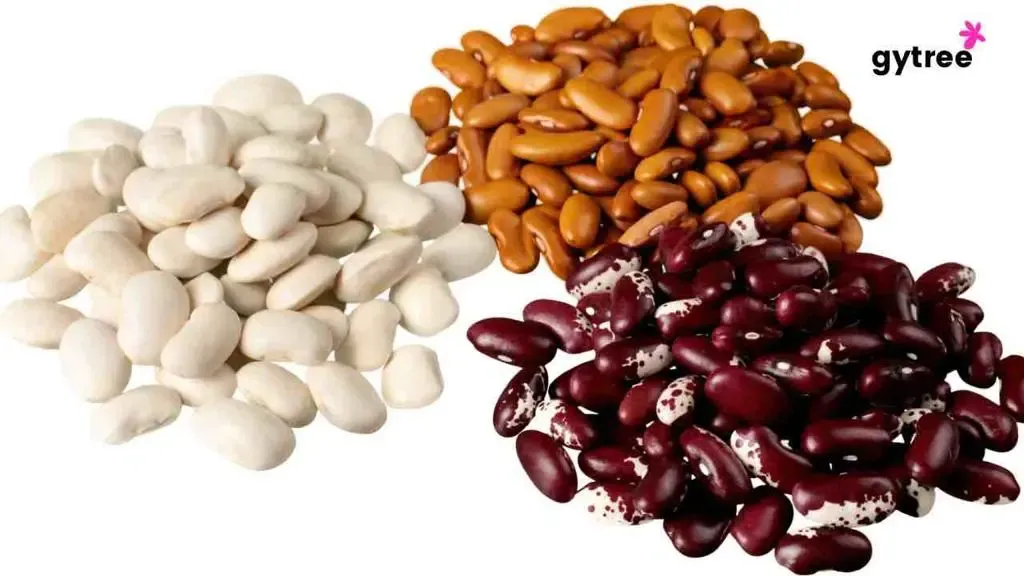 7 Reasons Why Combination Protein is Better for Your Health