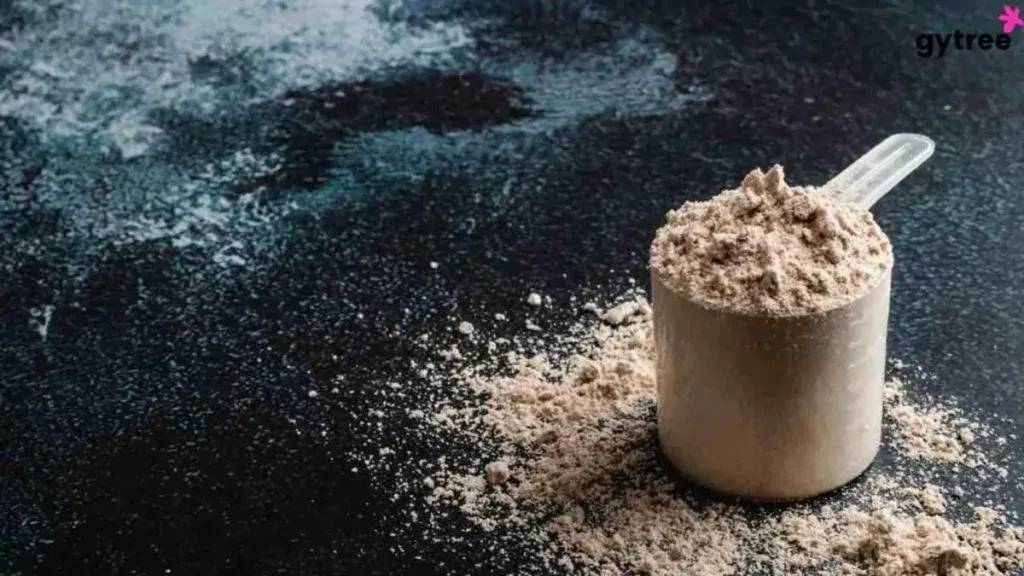 The Pros And Cons Of Whey Protein Vs Plant Based Protein For Weight Loss