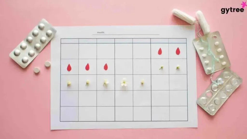 Decoding The 4 Phases of Menstrual Cycle To Make Your Life Easier