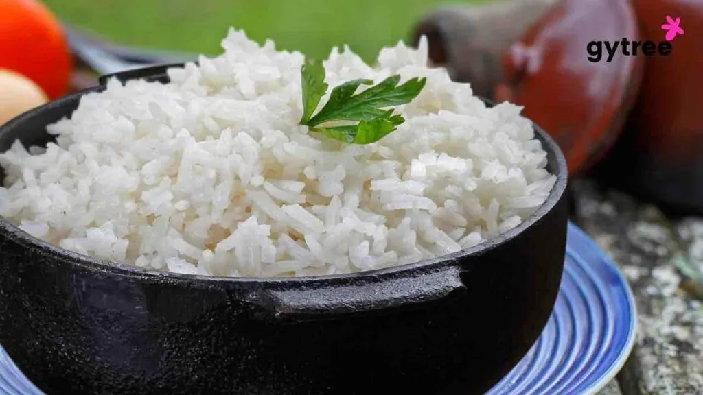 The Debate on White Rice: Pros, Cons, and Healthier Alternatives