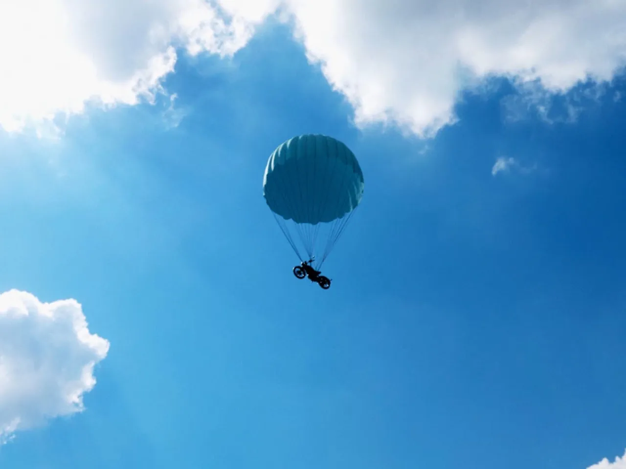 flying flea c6