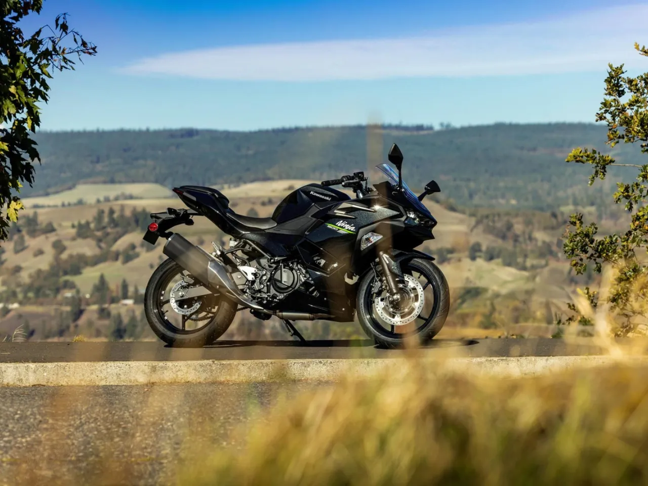 Kawasaki Ninja bikes explained