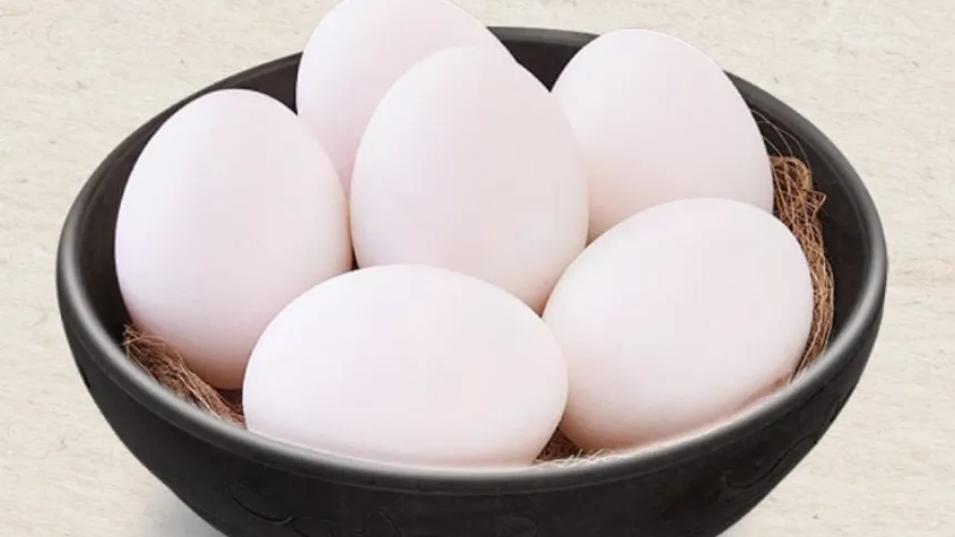 Egg.png (Image Credit; Licious)