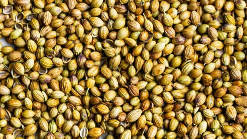 coriander seeds. { pic credit: flaevor}