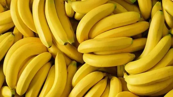 Banana 