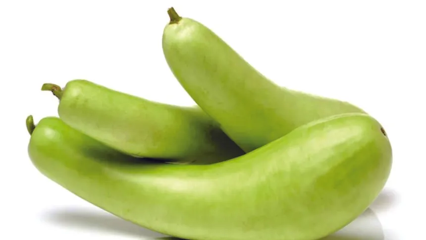 benefits of bottle gourd