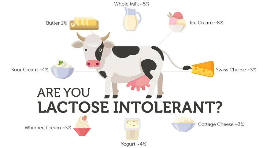 Introlernt.png (Image Credit:PMG Engineering)