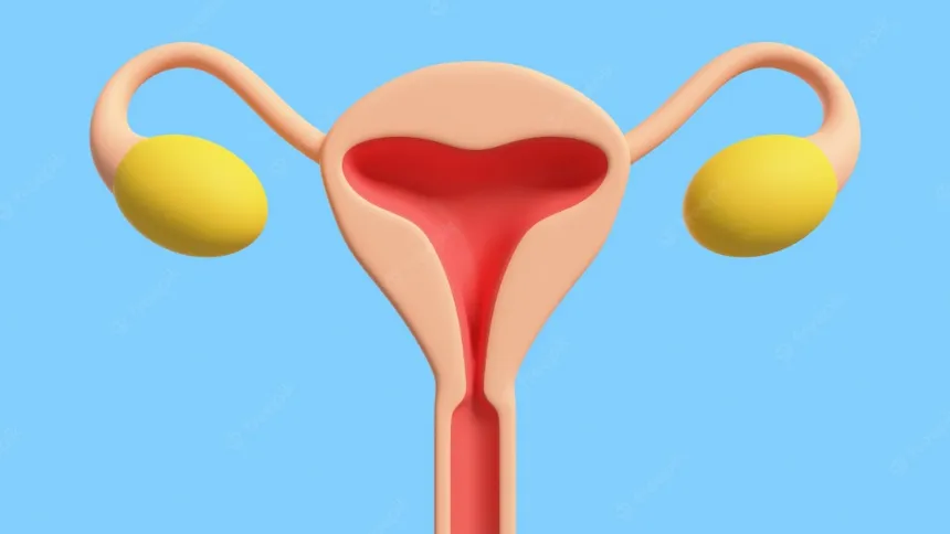 Vagina 0.png (Image Credit:Freepik)