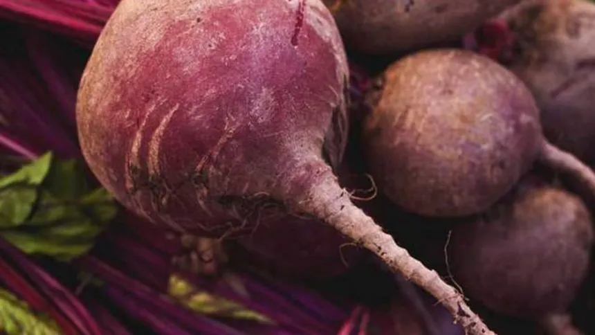 Beetroot 870 (Malta Farms).png