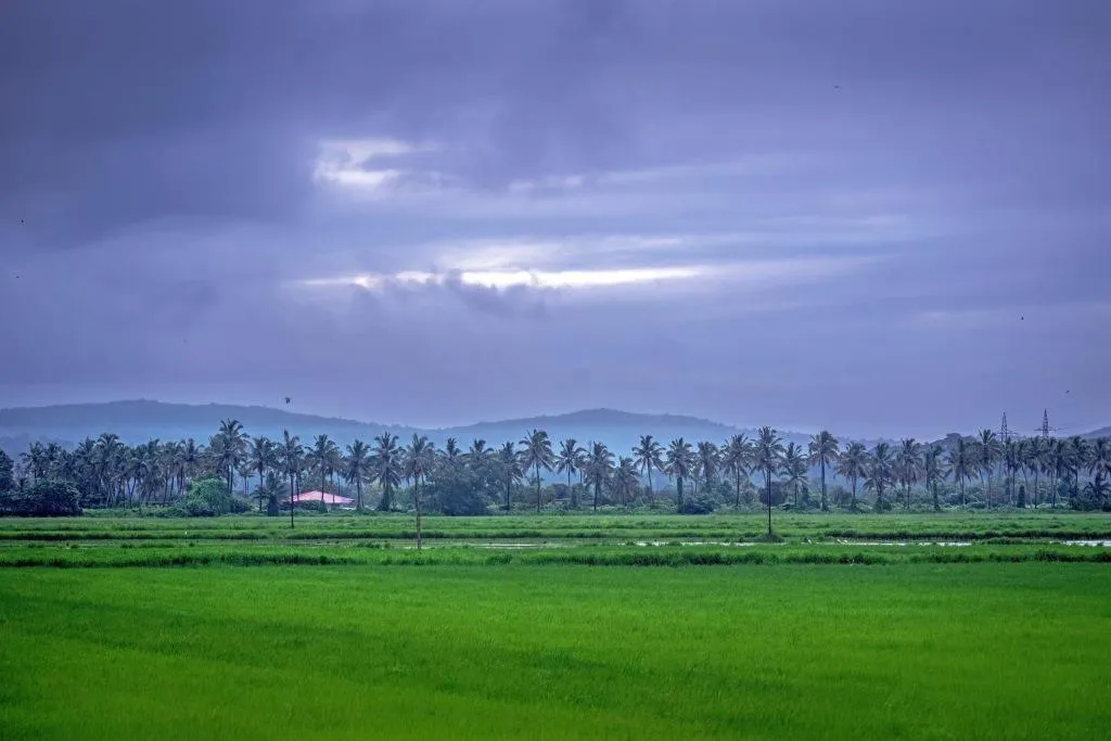 Landscape